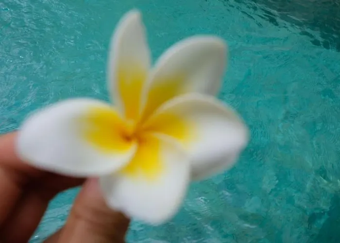 Avi Villa Nusa Dua (Bali)
