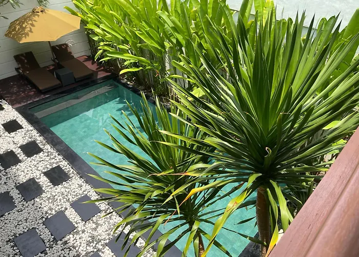 Avi Villa *